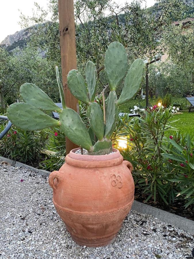 Apartamento Casa 32 Torbole Sul Garda Exterior foto